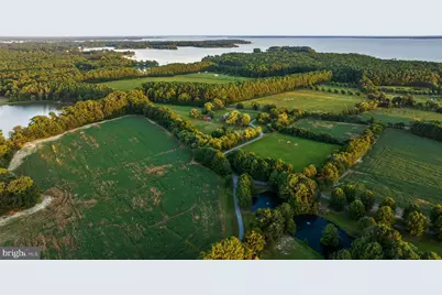 24390 Deep Neck Farm Lane, Royal Oak, MD 21662 - Photo 8