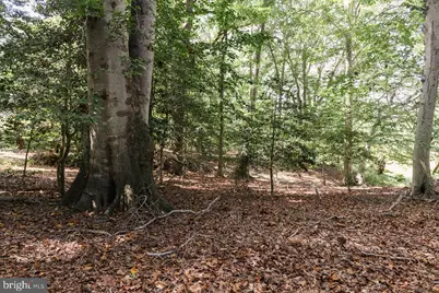 Lot #48 High Banks Drive, Easton, MD 21601 - Photo 20