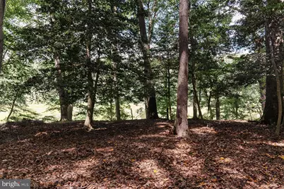 Lot #48 High Banks Drive, Easton, MD 21601 - Photo 6