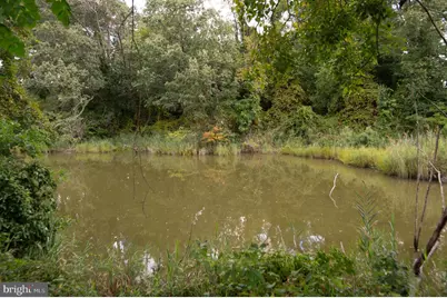 66 Johnson Street, Easton, MD 21601 - Photo 30