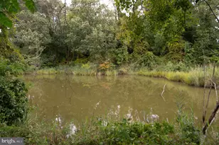 66 Johnson St, Easton, MD 21601 - Photo 30