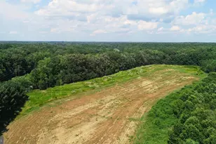 6150 Oxford Rd, Easton, MD 21601 - Photo 4