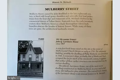 101 Mulberry Street, Saint Michaels, MD 21663 - Photo 48