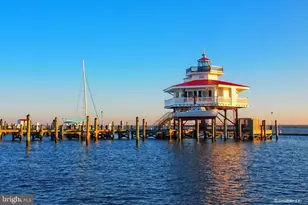 2669 Ocean Gateway, Trappe, MD 21673 - Photo 44