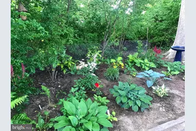 105 Seymour Avenue, Saint Michaels, MD 21663 - Photo 30