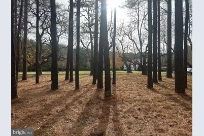Lot A Catalpa Point Road, Easton, MD 21601 - Photo 6