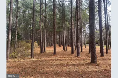 Lot A Catalpa Point Road, Easton, MD 21601 - Photo 4