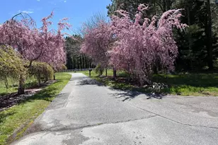 7605 Pendleton Farm Ln, Easton, MD 21601 - Photo 4