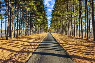 9170 Hunting Crk Ln, Easton, MD 21601 - Photo 4