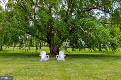 21384 Coopertown Road, Tilghman, MD 21671 - Photo 24