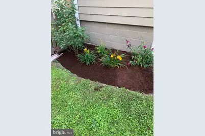 107 W Chestnut Street, Saint Michaels, MD 21663 - Photo 96