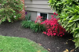 107 W Chestnut St, Saint Michaels, MD 21663 - Photo 94