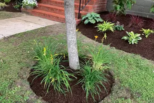 107 W Chestnut St, Saint Michaels, MD 21663 - Photo 22