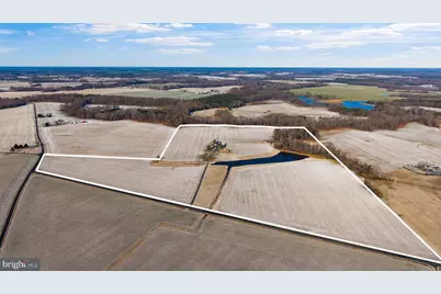 3750 Windy Hill Road, Trappe, MD 21673 - Photo 2