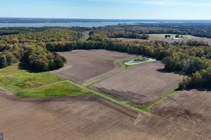 3750 Windy Hill Rd, Trappe, MD 21673 - Photo 10