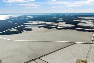 3750 Windy Hill Rd, Trappe, MD 21673 - Photo 8