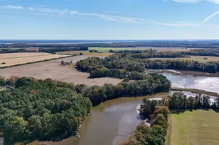 4108 Saulsbury Rd, Trappe, MD 21673 - Photo 1