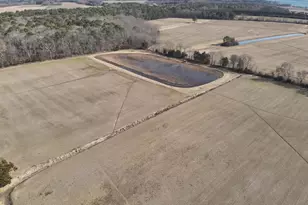 29245 Howell Point Rd, Trappe, MD 21673 - Photo 128