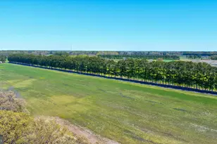 29245 Howell Point Rd, Trappe, MD 21673 - Photo 72