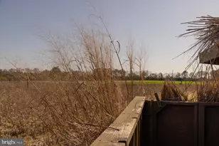 29245 Howell Point Rd, Trappe, MD 21673 - Photo 118