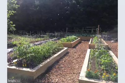 25706 Edgeview Road, Royal Oak, MD 21662 - Photo 6