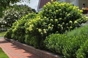 8006 Parrotts Lot Circle, Easton, MD 21601 - Photo 40