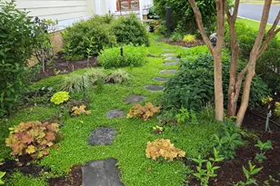 8006 Parrotts Lot Circle, Easton, MD 21601 - Photo 42