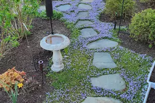 8006 Parrotts Lot Circle, Easton, MD 21601 - Photo 40