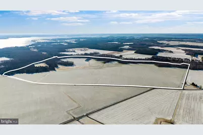 3750 Windy Hill Road, Trappe, MD 21673 - Photo 8