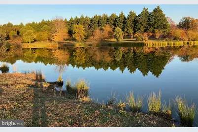29569 Porpoise Creek Road, Trappe, MD 21673 - Photo 34