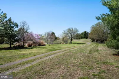 29569 Porpoise Creek Road, Trappe, MD 21673 - Photo 10