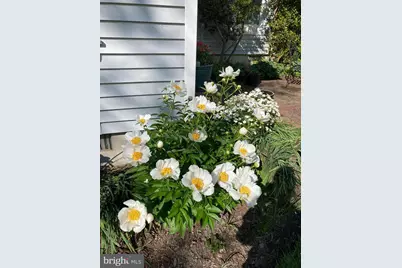 6394 Bozman Neavitt Road, Neavitt, MD 21652 - Photo 6