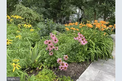 106 Chestnut Street E, Saint Michaels, MD 21663 - Photo 64