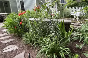 106 Chestnut Street E, Saint Michaels, MD 21663 - Photo 36