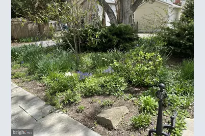 106 Chestnut Street E, Saint Michaels, MD 21663 - Photo 86