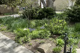 106 Chestnut Street E, Saint Michaels, MD 21663 - Photo 86