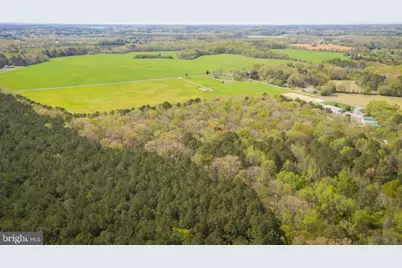 4502 Old Trappe Road, Trappe, MD 21673 - Photo 14