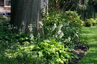 301 Washington Street S, Easton, MD 21601 - Photo 36