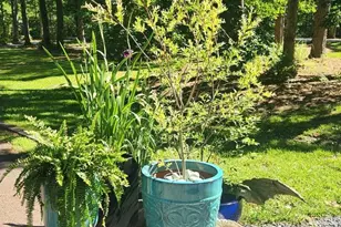 9206 Martingham Dr, Saint Michaels, MD 21663 - Photo 16