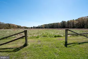 7909 Church Neck, Saint Michaels, MD 21663 - Photo 12