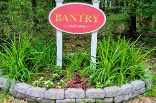 9829 Bantry Rd, Easton, MD 21601 - Photo 50