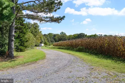 28923 Island Creek Road, Trappe, MD 21673 - Photo 24
