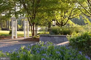 24679 Deep Neck Rd, Royal Oak, MD 21662 - Photo 74