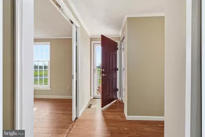 10118 Hiners Lane, Easton, MD 21601 - Photo 4