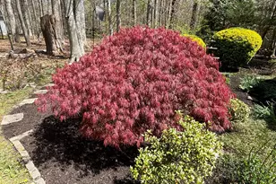 29309 Pin Oak Way, Easton, MD 21601 - Photo 24