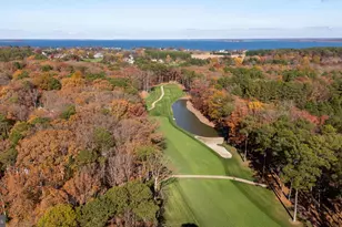 24561 Deepwater Point Dr, Saint Michaels, MD 21663 - Photo 54