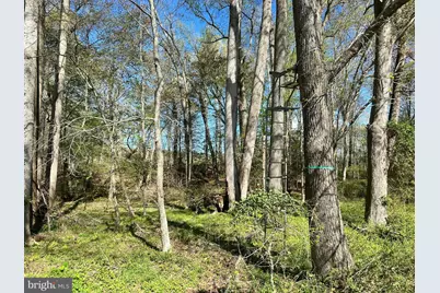 3750 Windy Hill Road, Trappe, MD 21673 - Photo 52