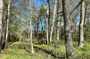 3750 Windy Hill Rd, Trappe, MD 21673 - Photo 52