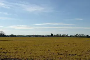 12633 Connelly Rd, Cordova, MD 21625 - Photo 2