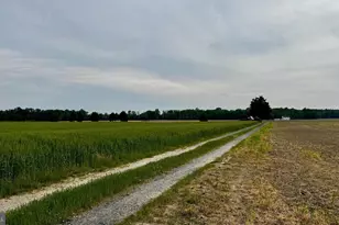 12633 Connelly Rd, Cordova, MD 21625 - Photo 46